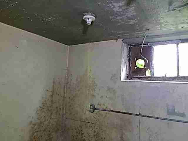 Testing again(10).jpg